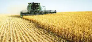 Anul trecut producţia agricolă vegetală a scăzut la majoritatea culturilor