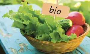 Noi reguli pentru certificarea şi controlul produselor bio, din 2021