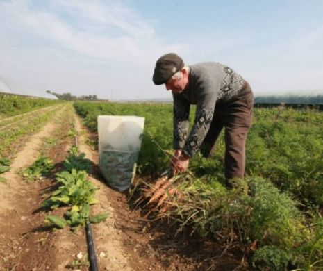 Noile taxe împovărează agricultura românească