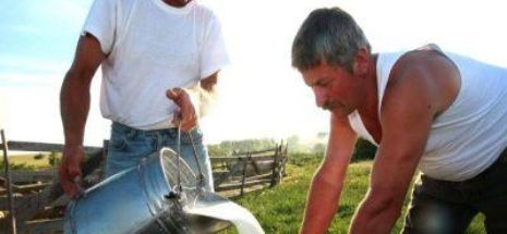 „Greul cade în special pe fermier”. Ministrul Agriculturii susţine înfiinţarea unui monitor al preţurilor la lapte pentru umărirea fluctuaţiilor pieţei