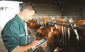 Sprijinul pentru instalarea tinerilor fermieri a atins plafonul maxim alocat