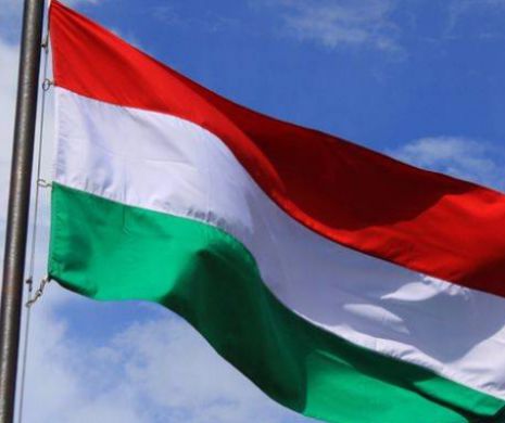 Guvernul Ungariei foloseşte deţinuţi la construcţia gardului de la graniţa cu Serbia