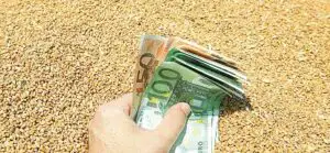 Egiptul a cumpărat 60.000 de tone de grâu din România