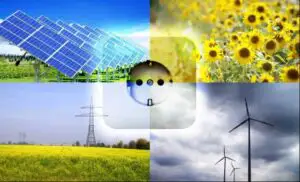 Sectorul energiilor regenerabile generează peste 10 milioane de locuri de muncă la nivel golbal