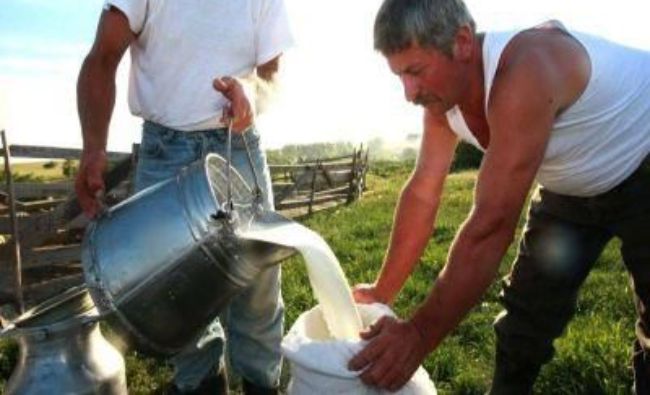Fermierii români, recompensați să reducă producția de lapte