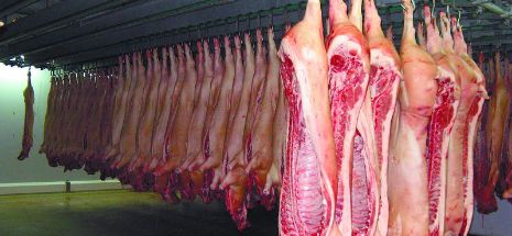 Guvernul a stabilit valoarea ajutorului pentru depozitarea cărnii de porc