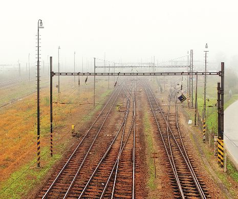 Autoritatea de Reformă Feroviară va coordona activitatea de restructurare a reţelei de transport feroviar