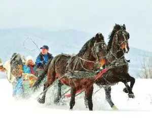Ofertele pentru Revelionul 2016 au început să se vândă cu reduceri de până la 20%