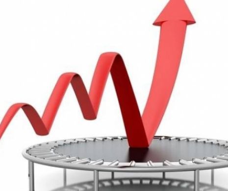 INS:Cifra de afaceri din serviciile de piaţă prestate pentru companii a crescut cu 9%