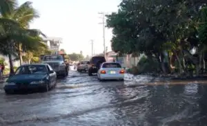Cod portocaliu de inundaţii în nouă judeţe din vest şi sud-vest şi cod galben în alte 28 de judeţe