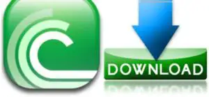 Cea mai mare parte a programelor software utilizate de români sunt descărcate de pe site-uri de torrente