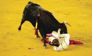 The Guardian: Spania ar putea interzice prezenţa copiilor la coride