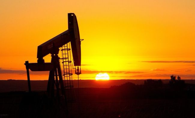Coronavirusul afectează şi cererea de petrol! OPEC a redus estimările pentru anul 2020