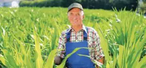 Ministerul Agriculturii: România avea 442 cultivatori de plante energetice, în 2015