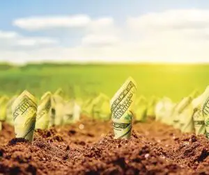 Terenurile agricole se scumpesc pe măsură ce străinii cumpără tot mai mult