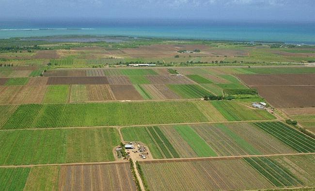 Paşcan (PMP): Vânzarea terenurilor agricole ale României către străini îngrijorează şi Comisia Europeană