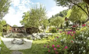 Fonduri epuizate pentru înființarea de activități neagricole în zone rurale