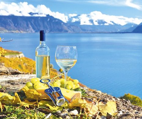 10 vinuri albe de băut în miez de vară