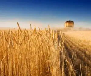 64,5 milioane lei mai mult pentru agricultură… dar la birou