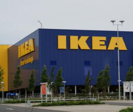 IKEA cumpără păduri în România