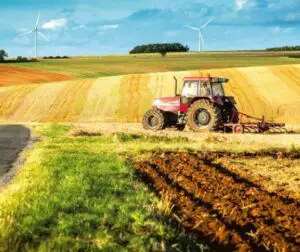 Străinii dețin 10% din terenurile agricole