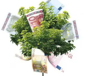 Randamentele fondurilor mutuale sunt mult peste cele ale băncilor