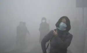 Rusia şi China, angajate în continuare în combaterea schimbărilor climatice