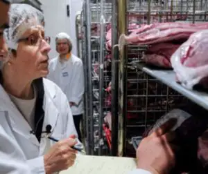 Mii de kilograme de produse alimentare confiscate de pe litoral