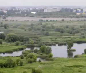 Bani pentru secetă din Deltă la Ministerul Mediului