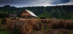 Ţara care nu vrea să mai importe produse alimentare în 2020