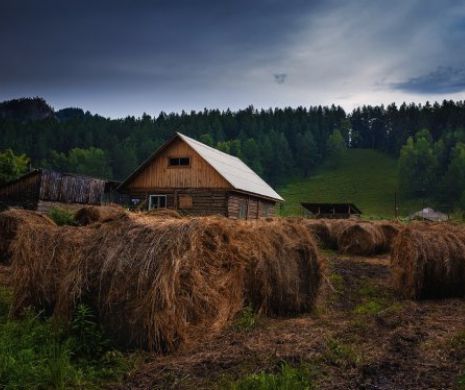 Embargoul rusesc a provocat un boom în agricultură