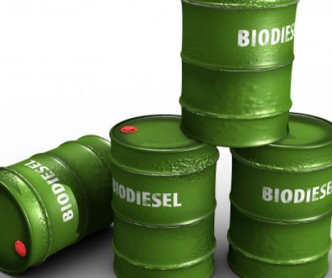 Uniunea Europeană menţine taxele la importurile de biodiesel din SUA