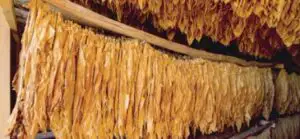 România a exportat băuturi şi tutun de peste 780 milioane euro, în primele nouă luni din 2015