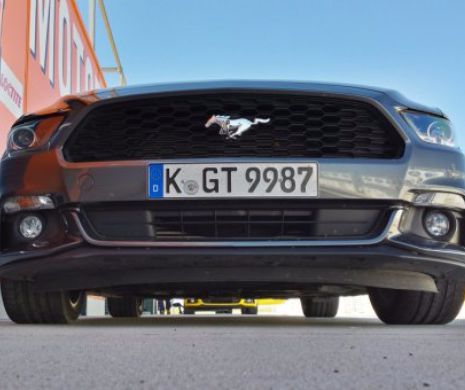 TEST: Mustang, liderul hergheliei Ford