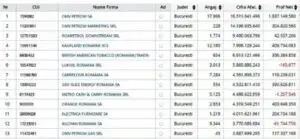 În topul Risco al celor mai mari companii din București domină sectorul energetic