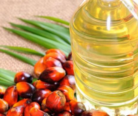 Importator de ulei de palmier: ”Noi îl aducem doar pentru că piața îl cere. Daca ar fi după noi, l-am interzice. Arde pielea, atât este de acid!”