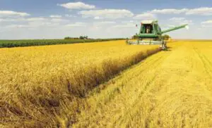 APIA a adus în ţară 20 miliarde de euro în 10 ani