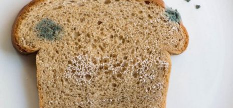 Ce se întâmplă dacă mănânci pâine veche