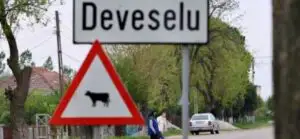Angajaţii din industria de apărare cer autorităţilor să doteze armata cu echipamente româneşti, nu second-hand de import