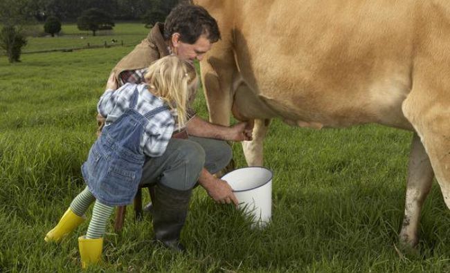 România a importat cu 55,1% mai mult lapte în primele patru luni