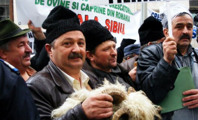 Ciobanii ameninţă cu proteste la Bucureşti, dacă autorităţile nu modifică Legea Vânătorii