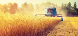 Agricultura, însămânțată cu bani UE