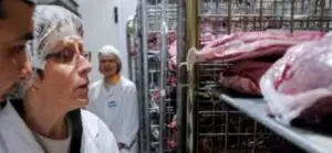 Amenzi de peste 300.000 de lei pentru comercianții din industria alimentară