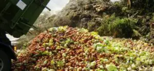 Fundaţia Rockefeller a lansat un proiect prin care să reducă la jumătate risipa de alimente la nivel mondial