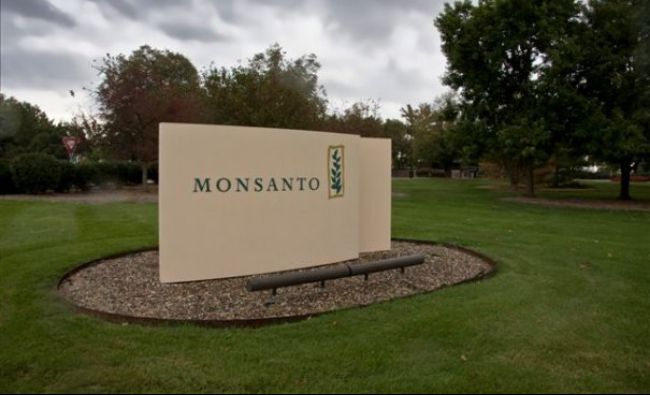Monsanto concediază 1.000 de angajaţi