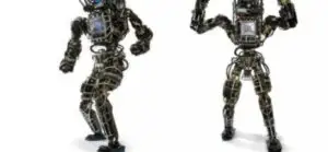 Robotul Google care va “fura” joburile oamenilor