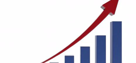 Economistul-şef al BNR: PIB-urile pe 2015 și 2016 sunt dopate de măsuri fiscale nesustenabile