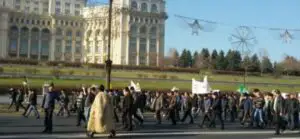 Crescătorii de oi se pregătesc din nou de proteste