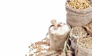 AFIR prelungeşte sesiunea de depunere a proiectelor de investiţii în procesarea şi marketingul produselor agricole