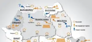 Provident și-a mărit numărul de angajați